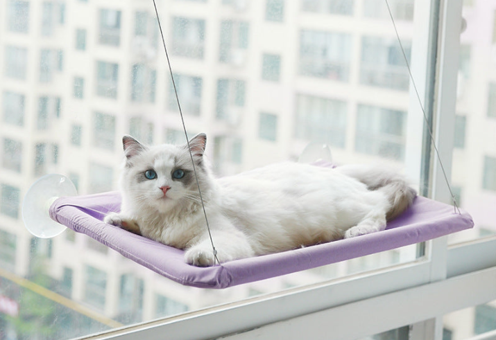 Cat Hanging bed