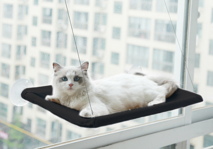 Cat Hanging bed