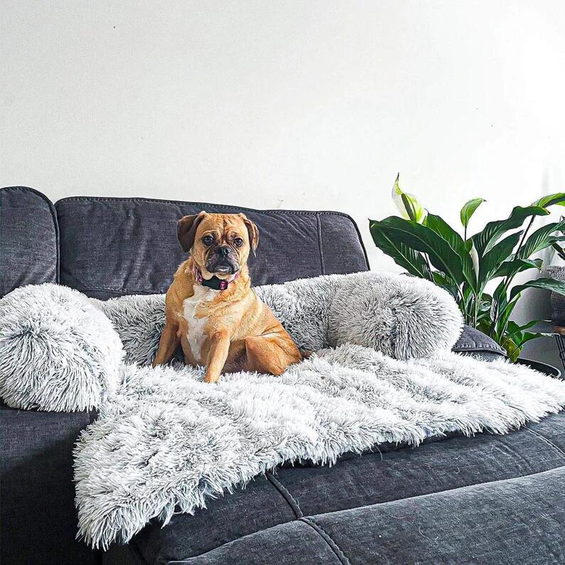 Pet Sofa Bed