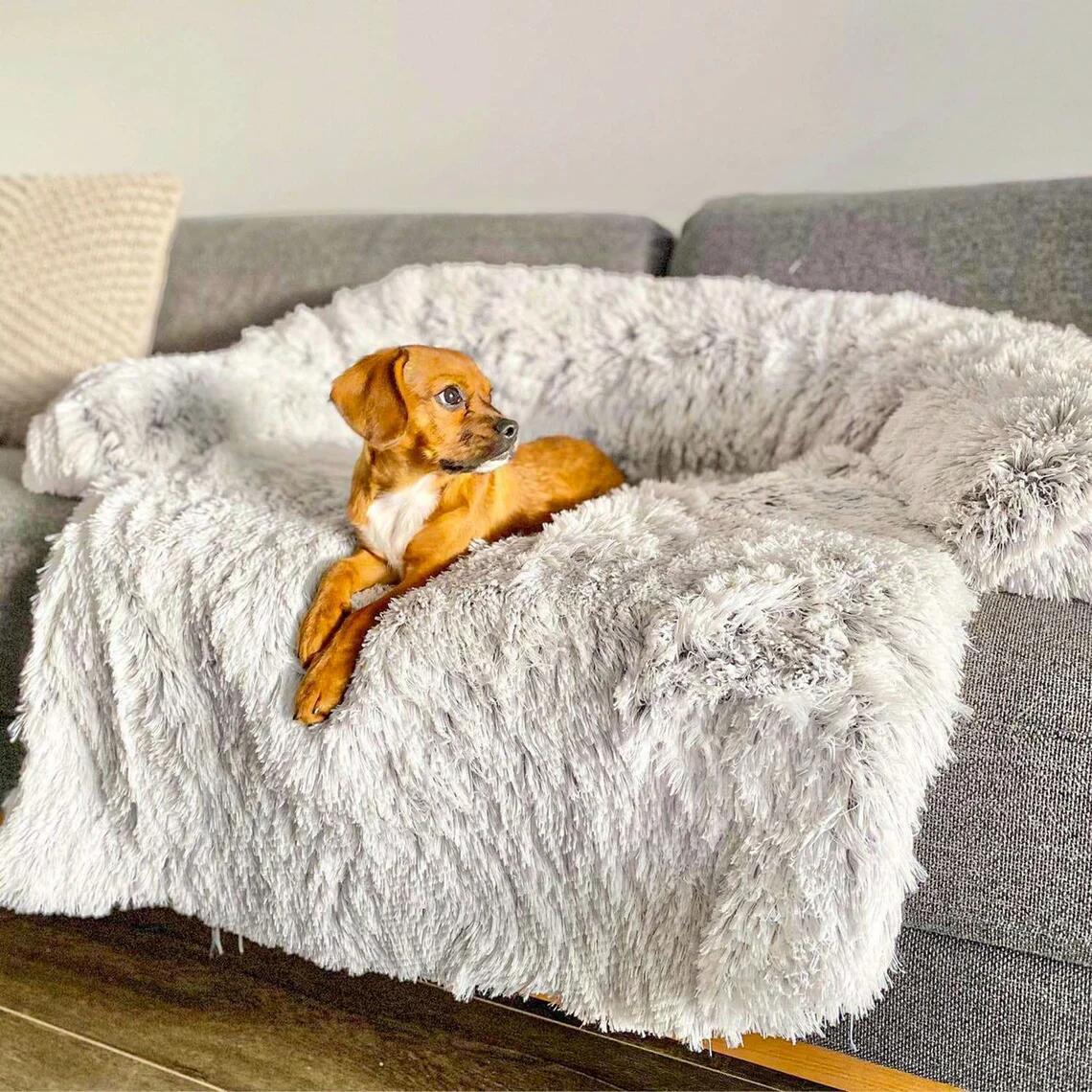 Pet Sofa Bed